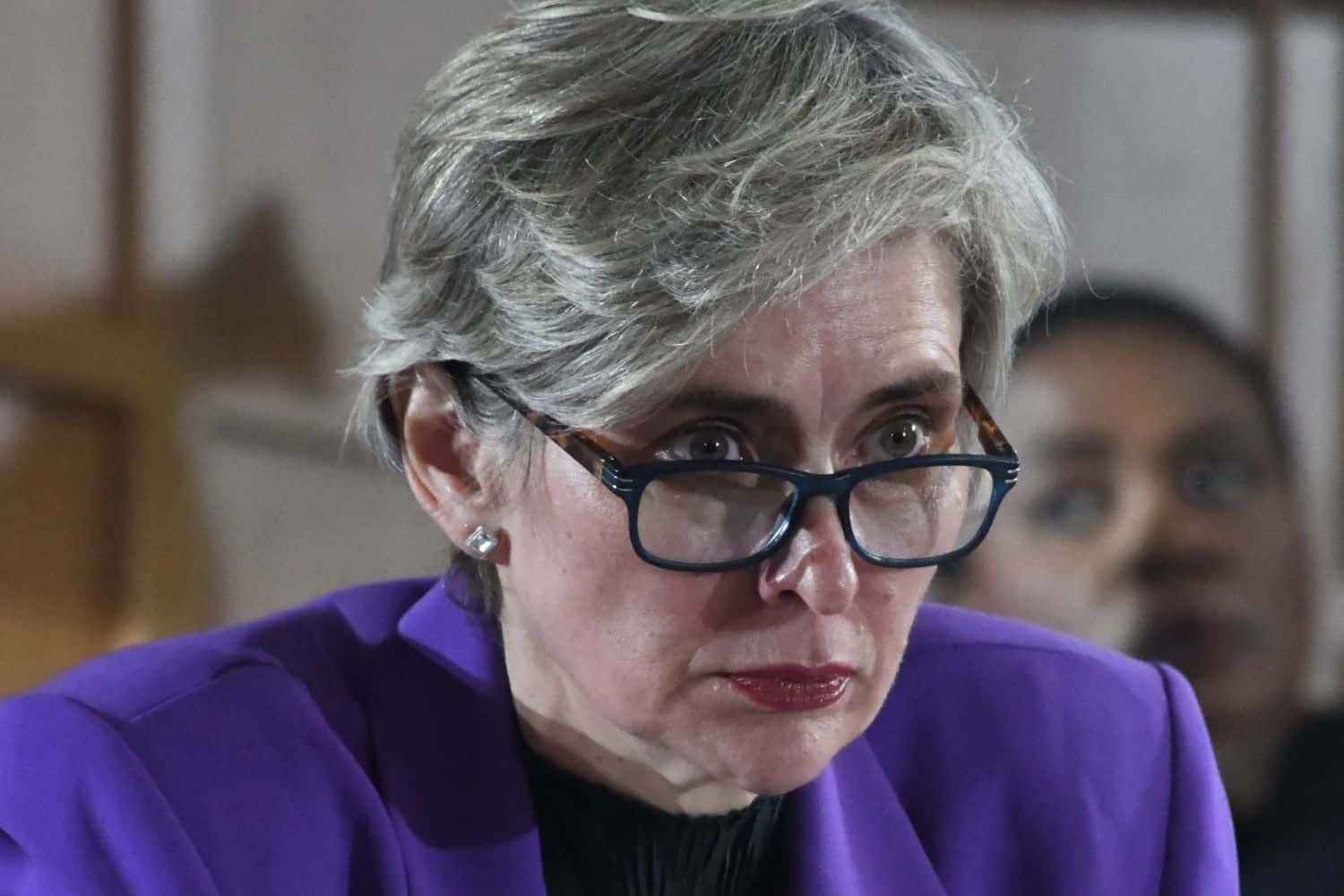 Petronella van Rooyen Madlanga commission Senzo Mchunu
