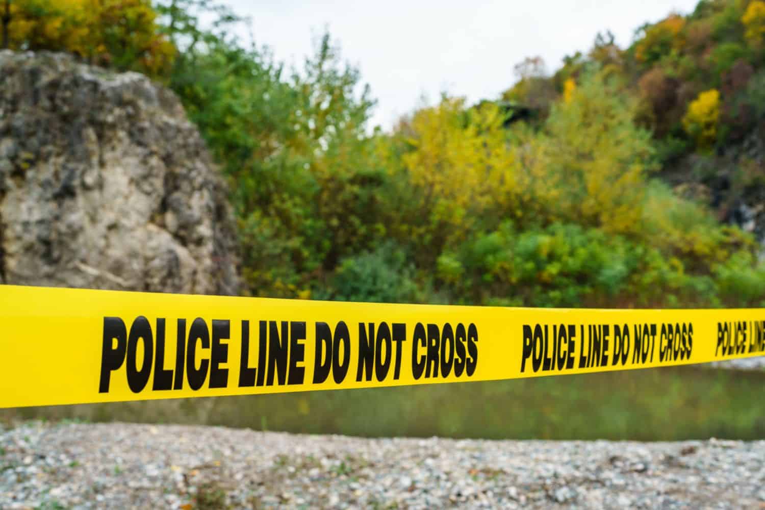 Murder investigation/ Limpopo/ Saps