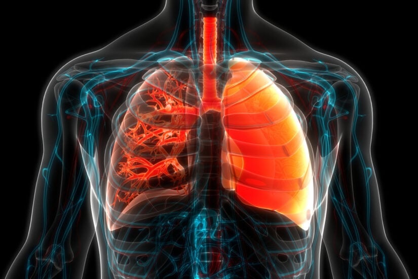 New hope for lung fibrosis