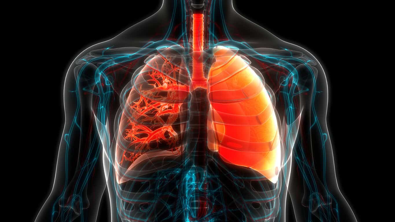 New hope for lung fibrosis