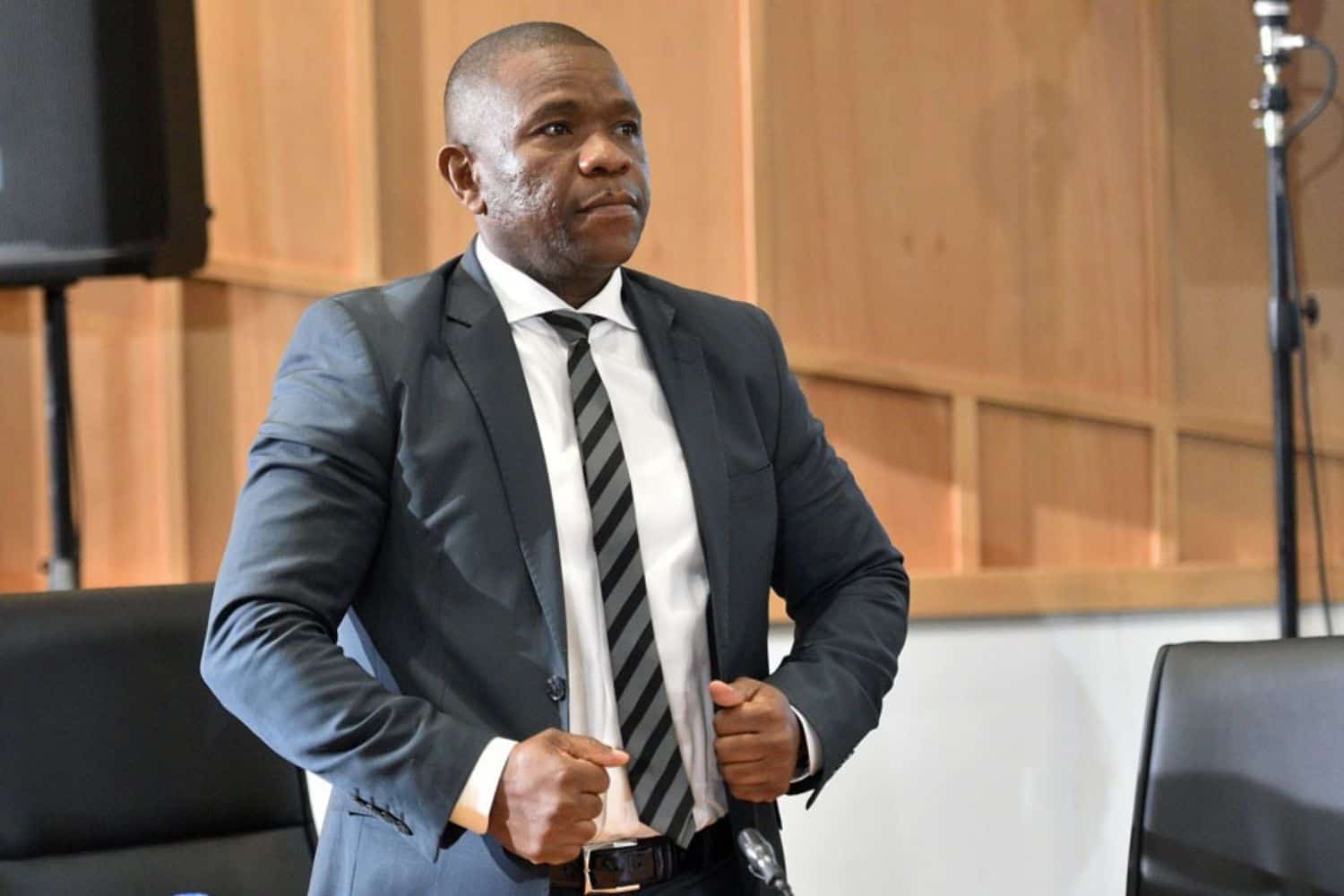 Mkhwanazi Mchunu political killings task team Madlanga Commission