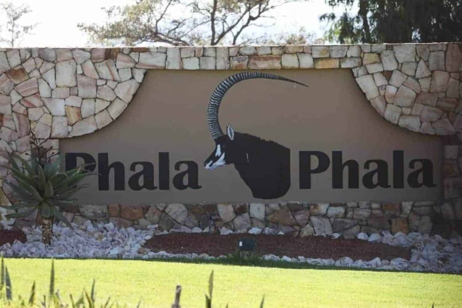 Phala Phala theft trial to get underway in Modimolle, Limpopo