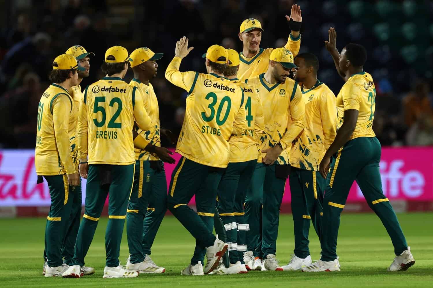 Proteas