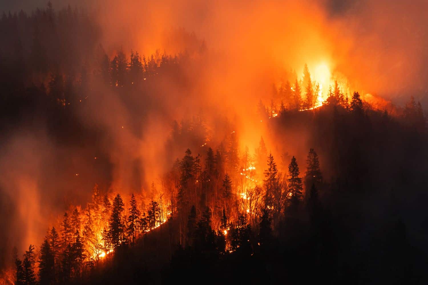 Weather update. Severe wildfire threats issued for these three provinces.