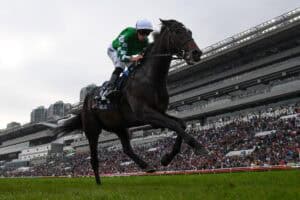 Horse racing from Hong Kong