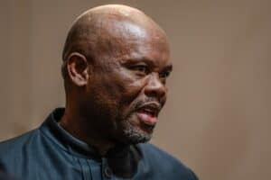 Sibiya suspension Fannie Masemola Mkhwanazi