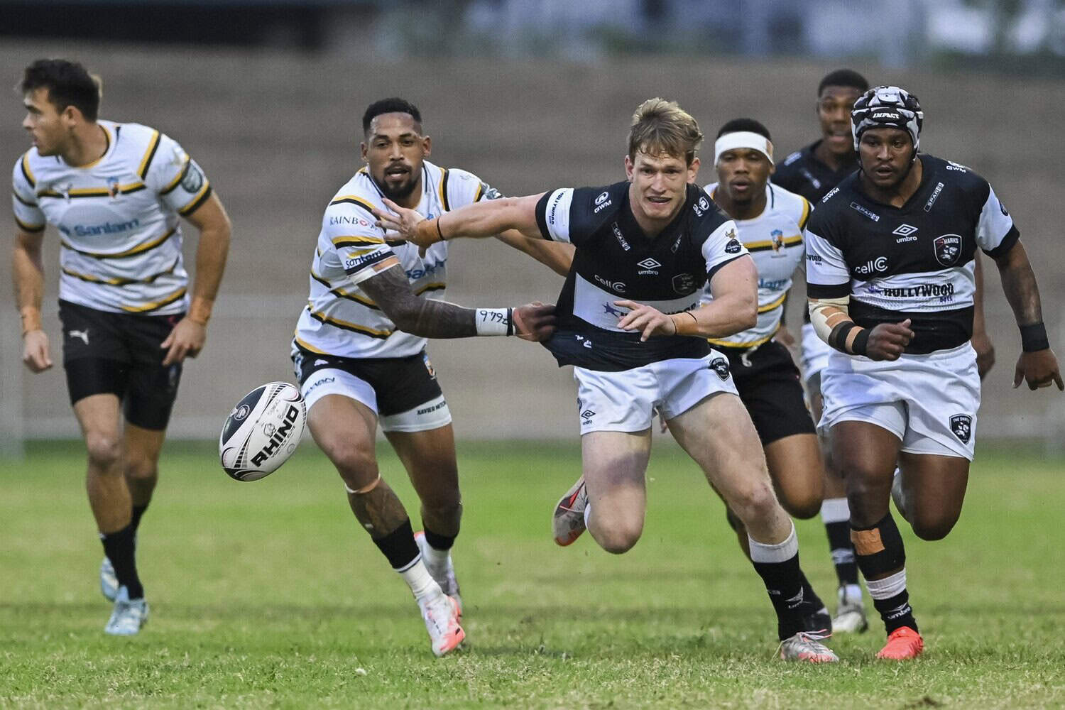 Sharks vs Boland Cavaliers