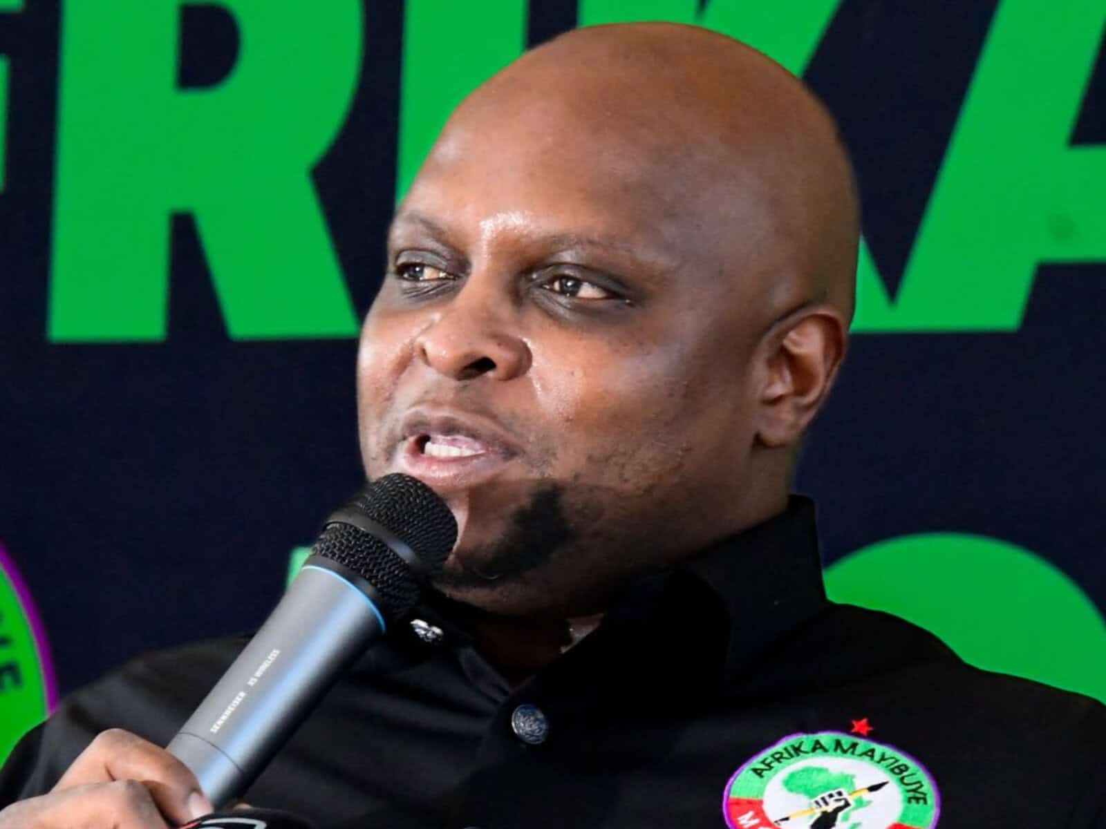 Floyd Shivambu does not believe there are similarities between Mayibuye's logo and that of the EFF.