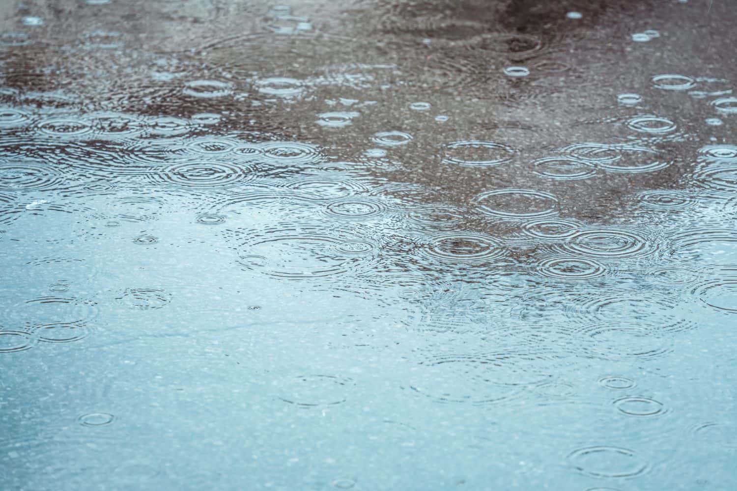 Heavy downpours Gauteng rain