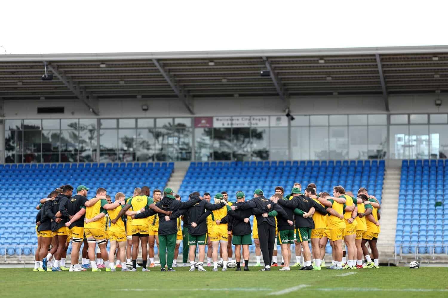Springboks rugby players