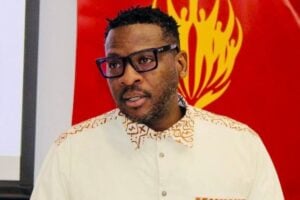Tshepo Madlingozi