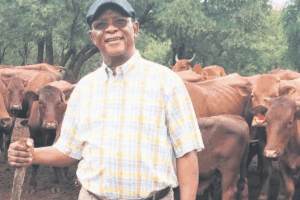 ‘Not a side hustle’: Traditional leader calls for investment in small-scale farming
