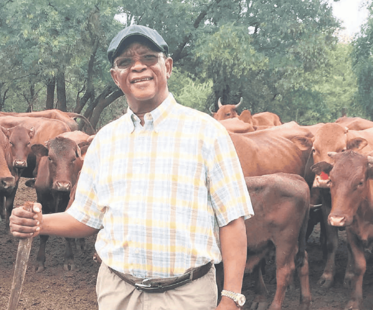 ‘Not a side hustle’: Traditional leader calls for investment in small-scale farming
