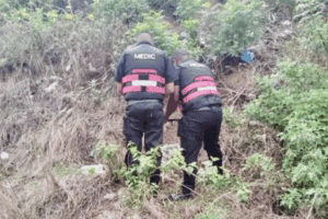 Newborn baby's body found discarded, legs allegedly consumed by dogs