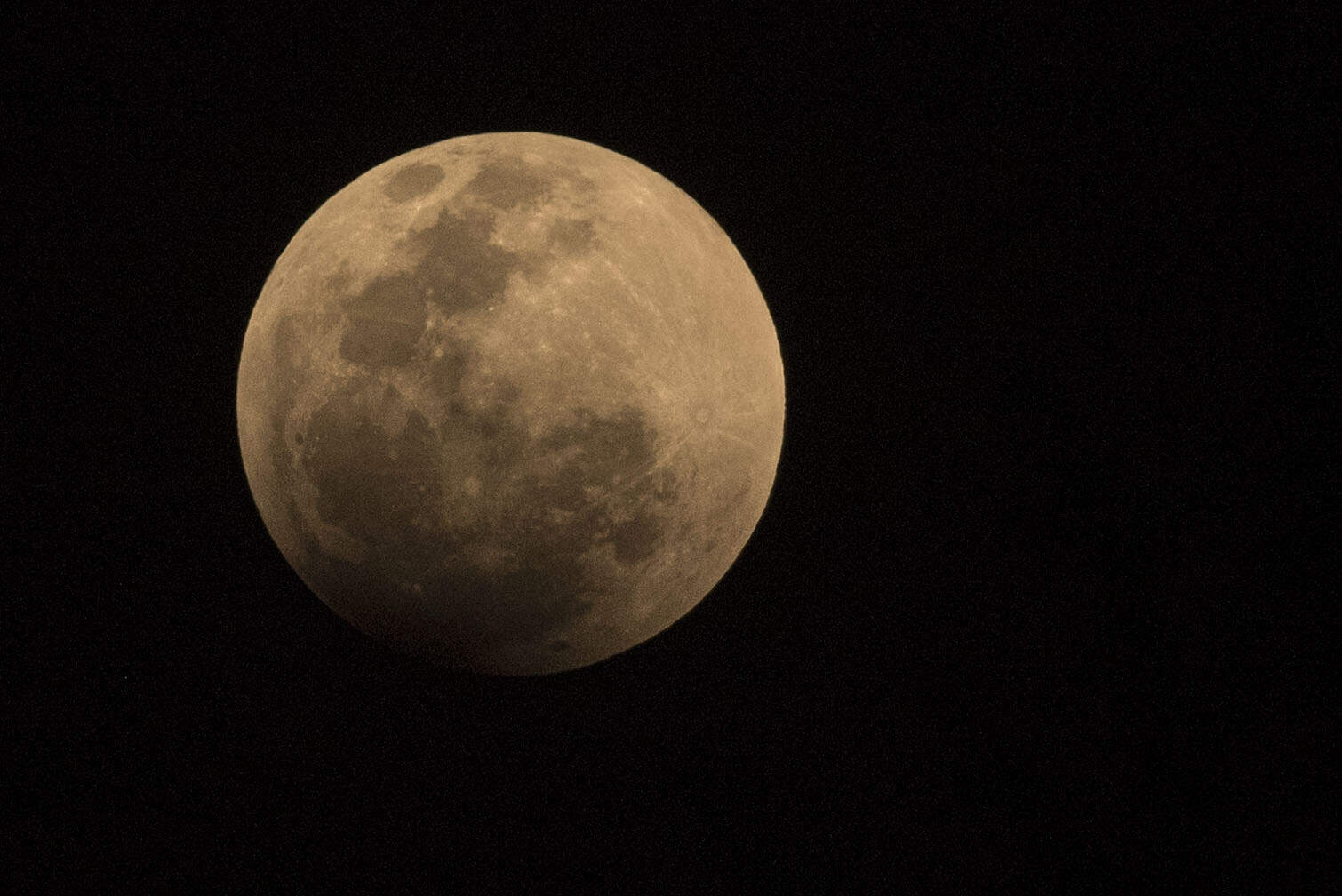 A partial eclipse of the moon is seen from Weltevreden Park