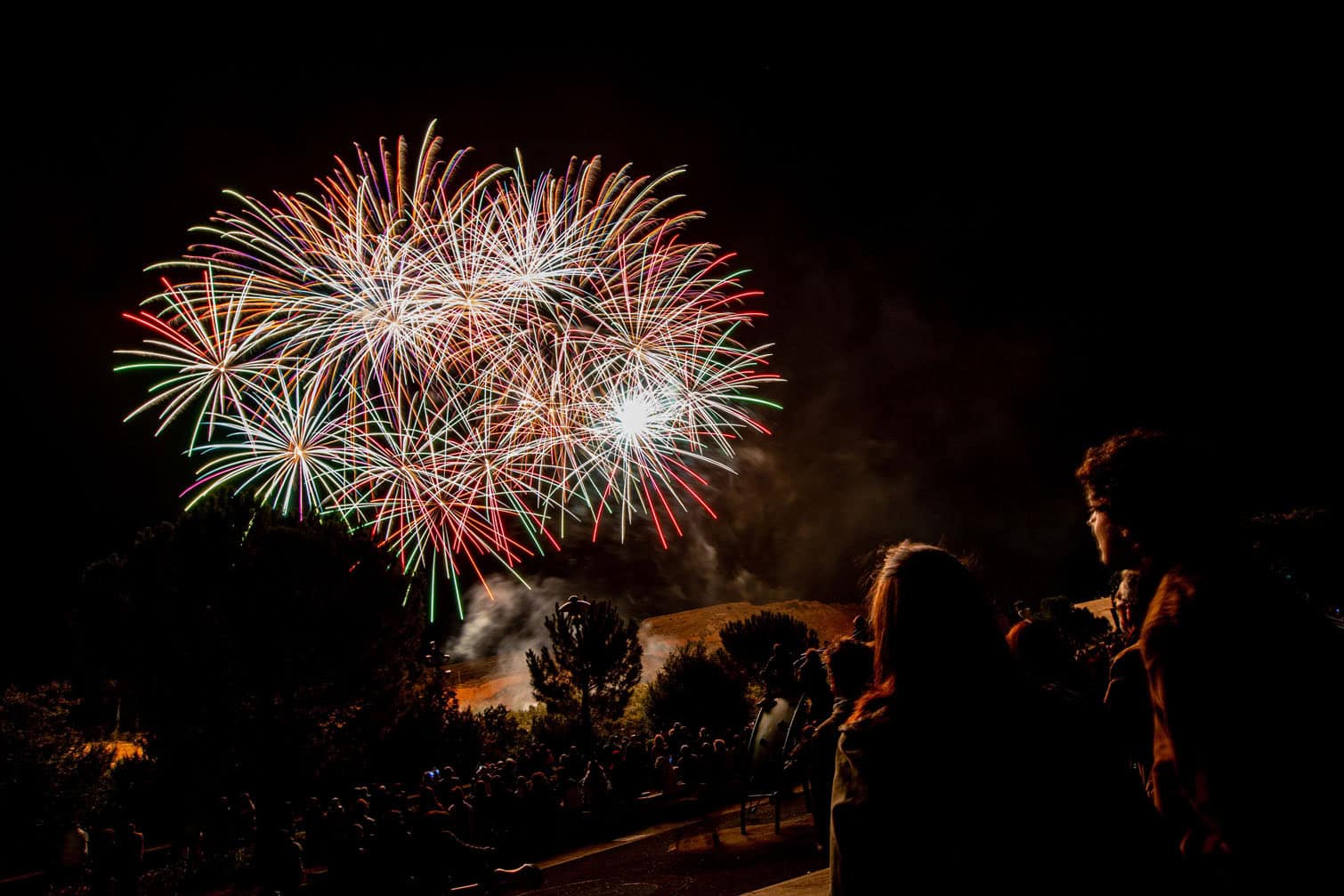 San Mateo festival in Logrono