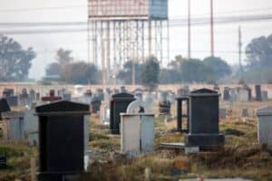 Graves in a graveyard