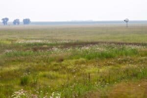land expropriation without compensation Ekurhuleni