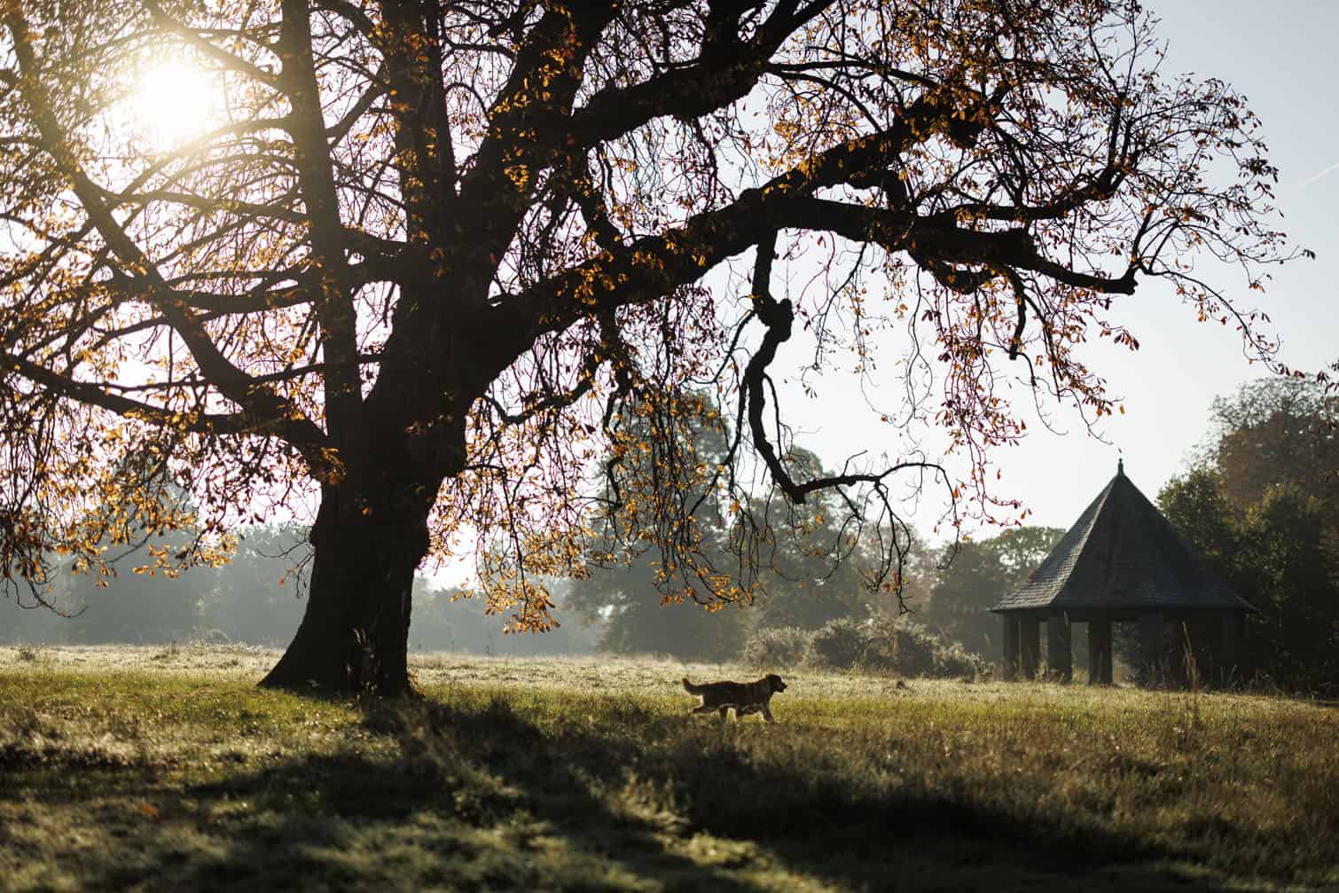 Autumn weather in London