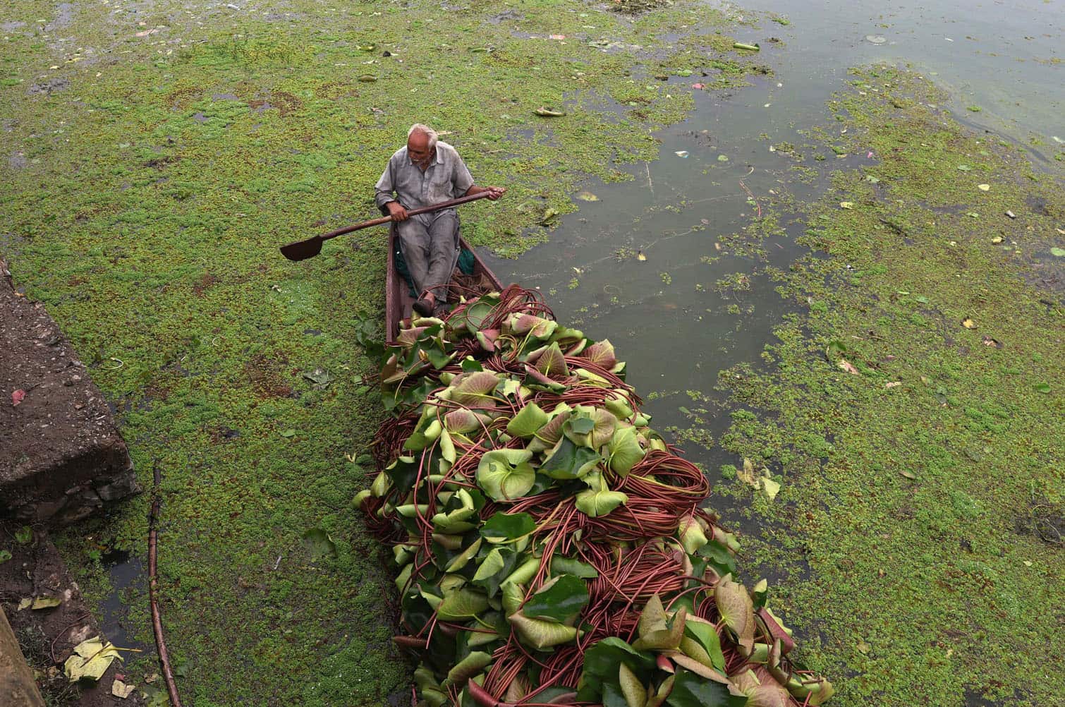 Daily life in Srinagar