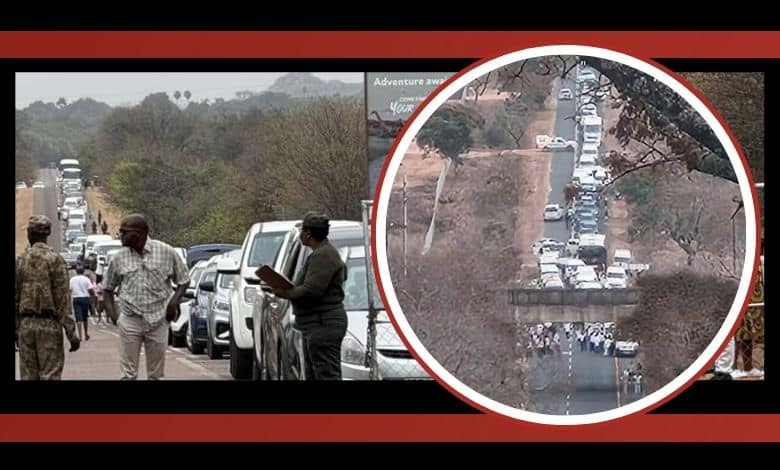 The Phalaborwa gate at the Kruger National Park on Free Week
