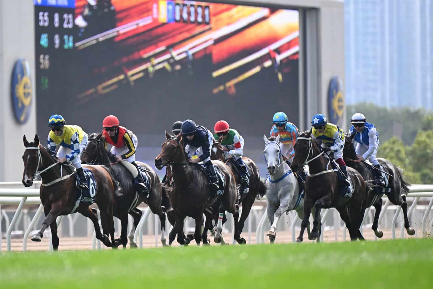 Sha Tin racecourse