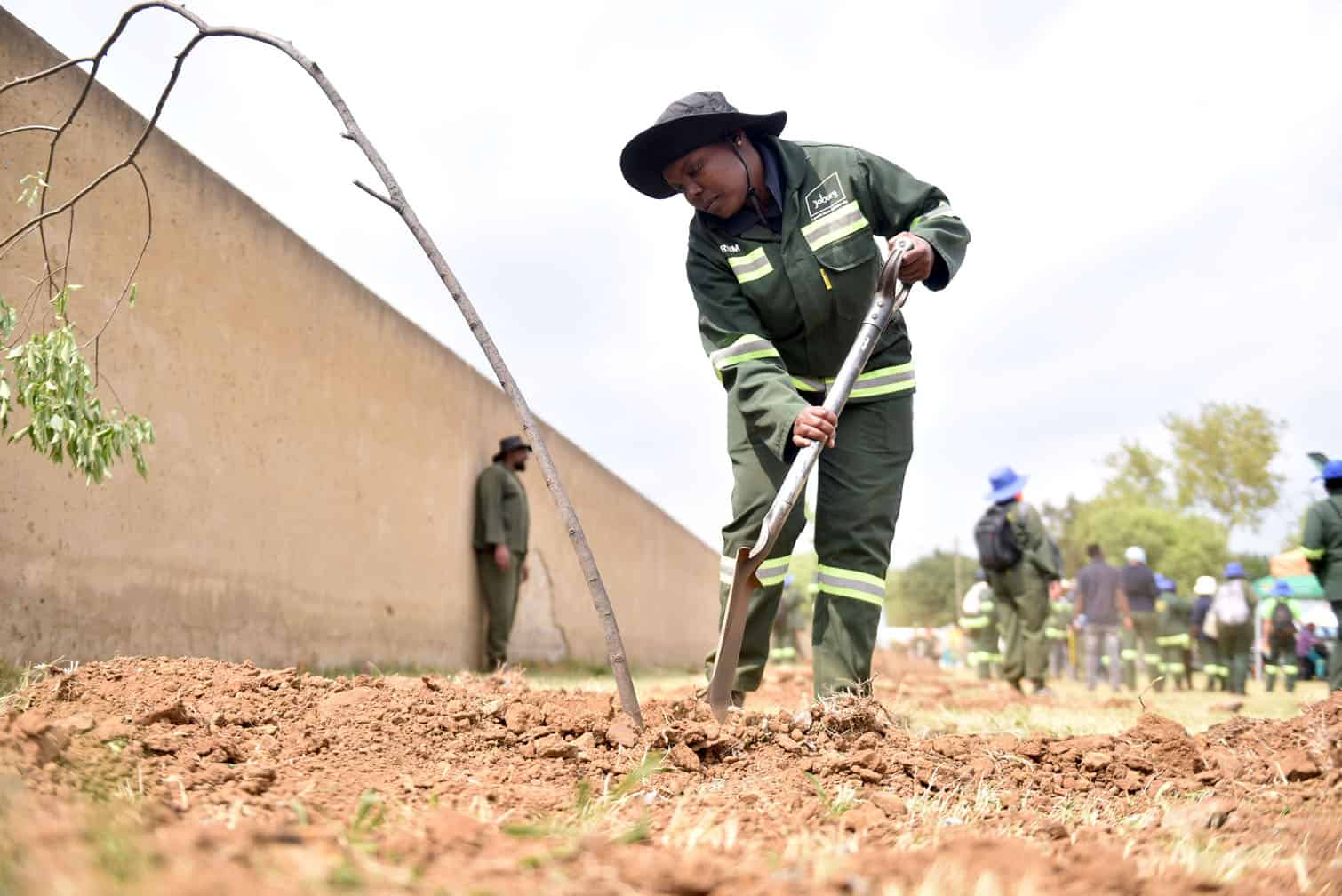 South Africa tree planting