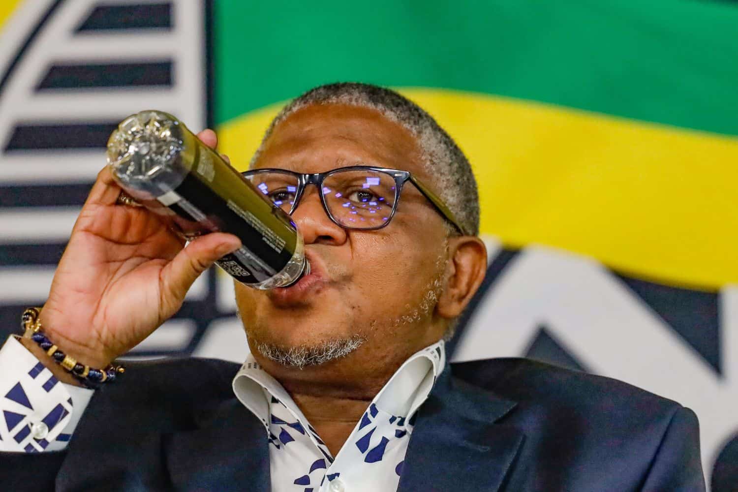 Mbalula Ramaphosa Madlanga commission