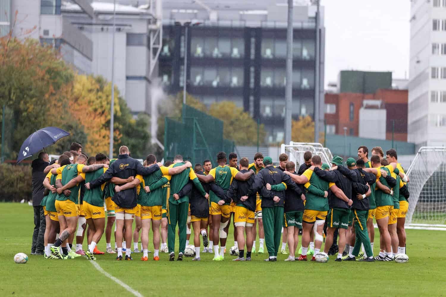 Springbok rugby team