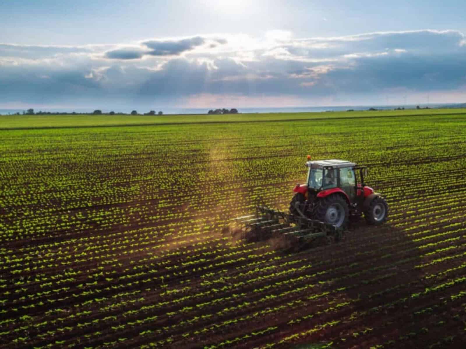 President Ramaphosa stated in an affidavit that the wording of the Expropriation was problematic.
