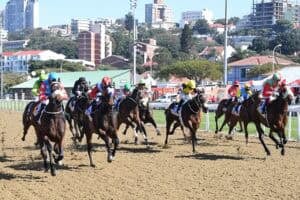 Greyville polytrack