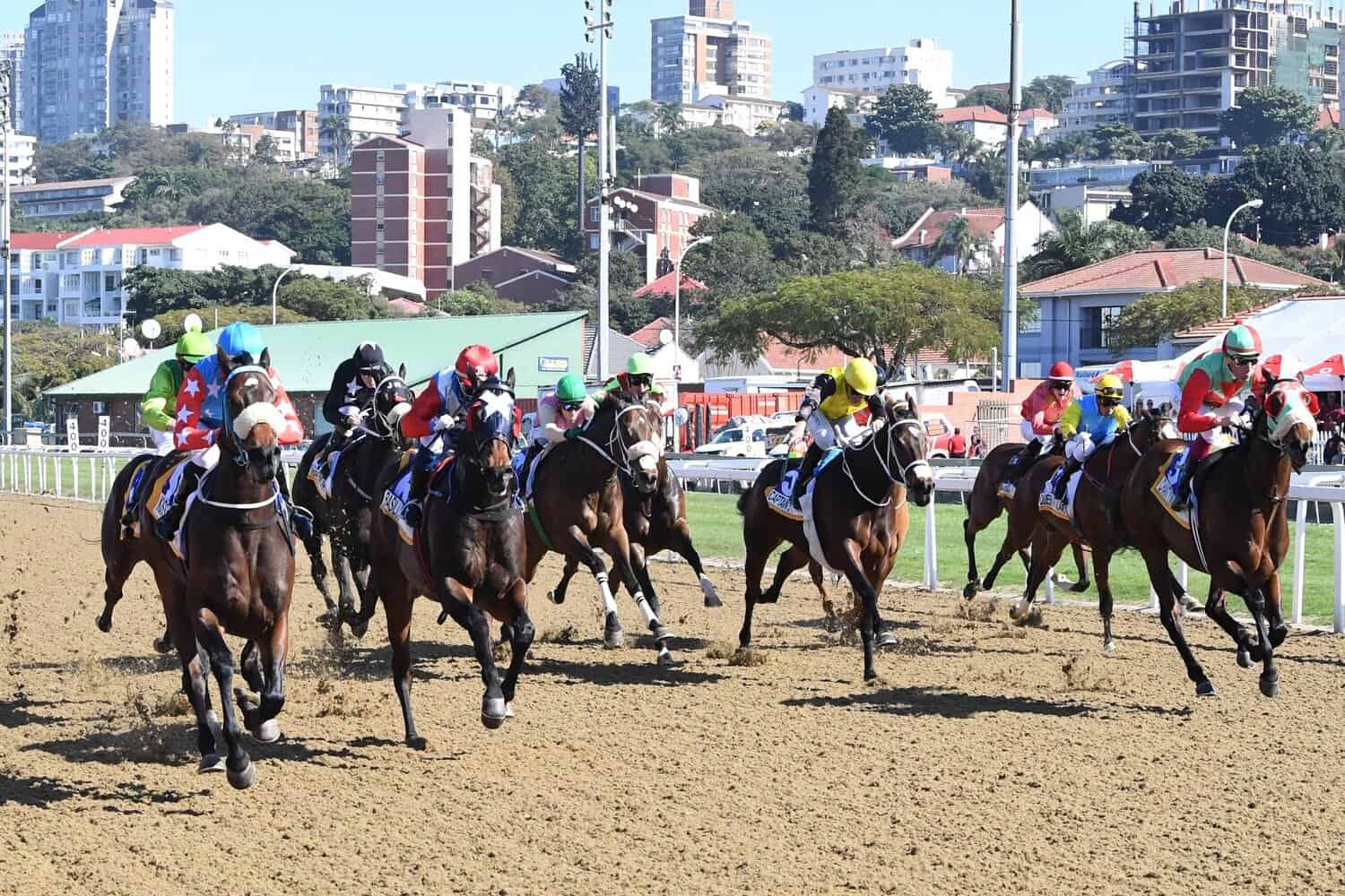 Greyville polytrack