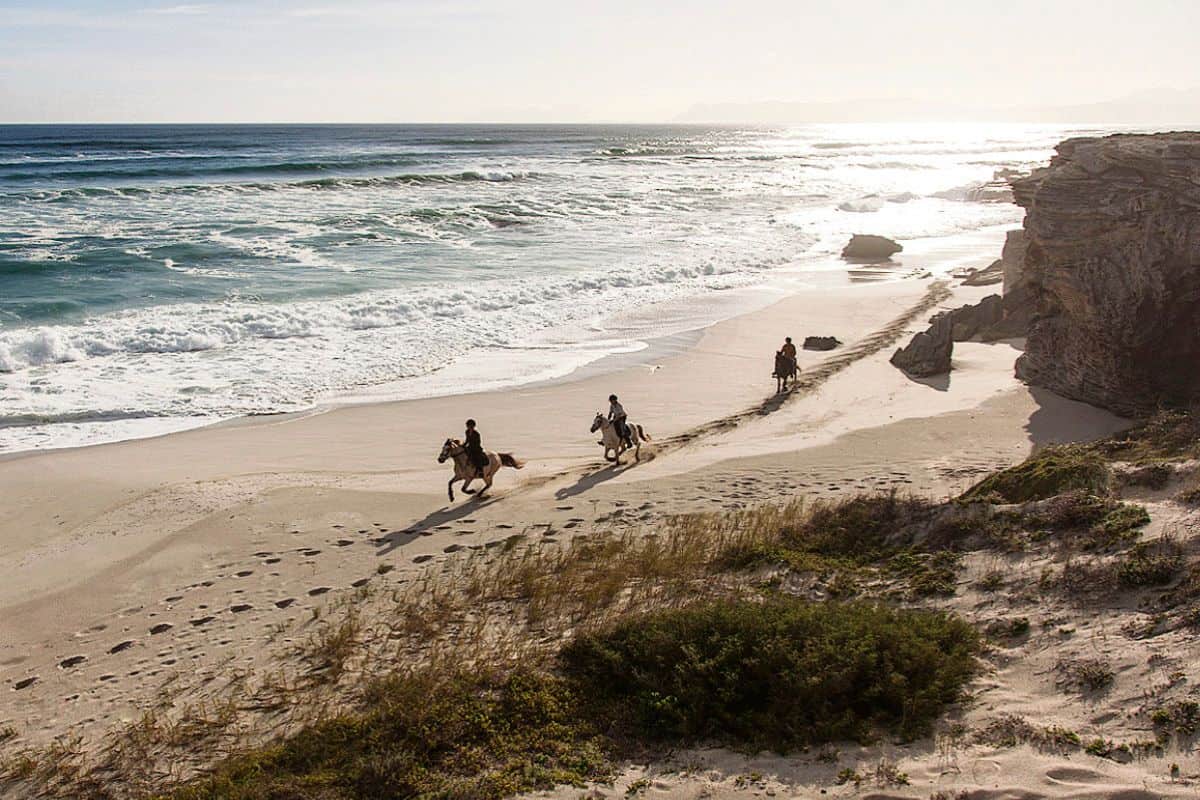 Western Cape