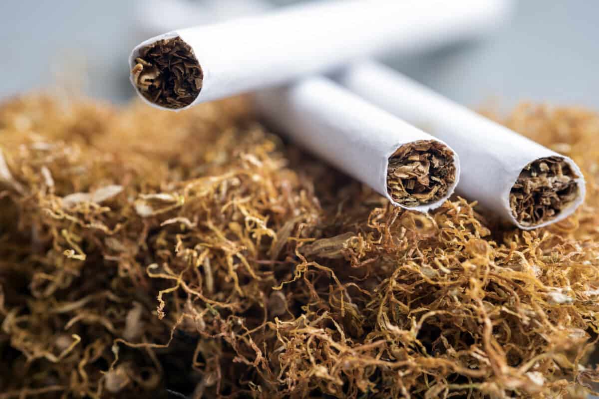 Illicit cigarette trade ‘captured by cartel'
