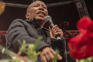 Malema conviction hailed as proof South Africa’s firearm laws work