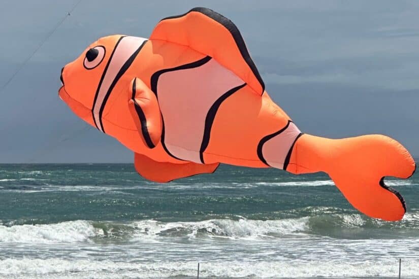 Cape Town Kite Festival