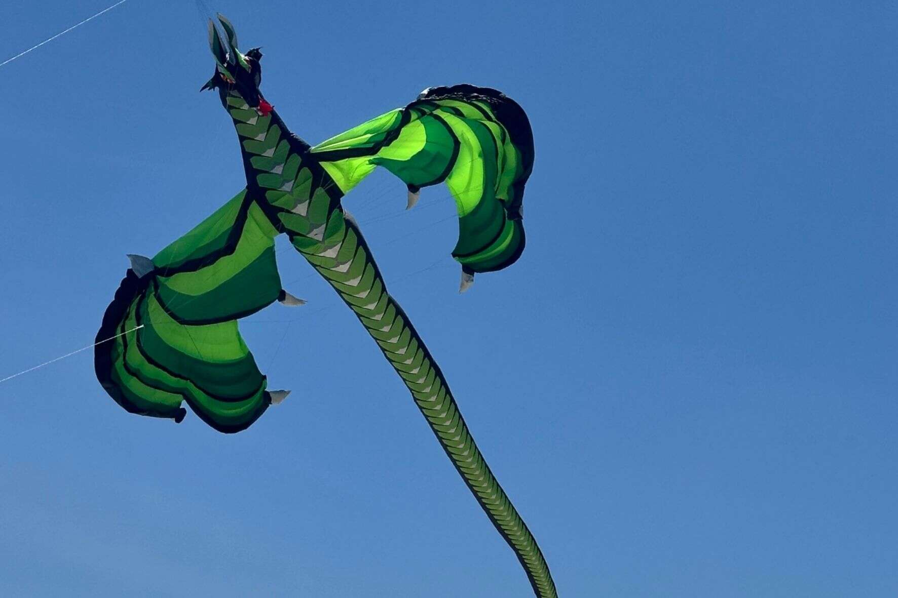 Kiting for courage at the Cape Town Kite Festival. Picture: Supplied