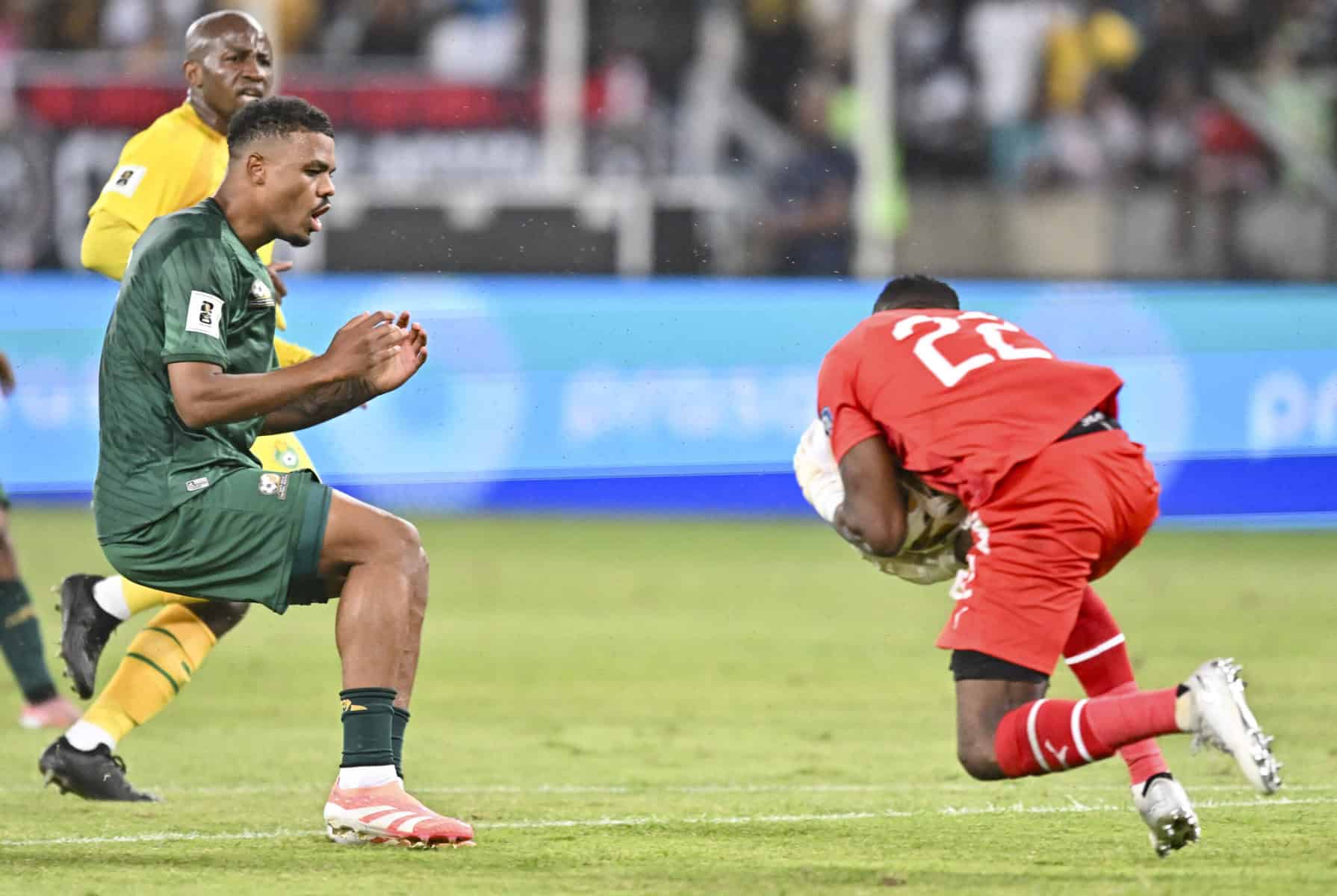 Lyle Foster - Bafana Bafana