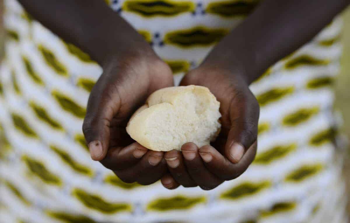 Millions hungry as malnutrition tightens its grip on SA