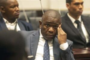 Mkhwanazi before the ad hoc parliamentary committee for the second day.