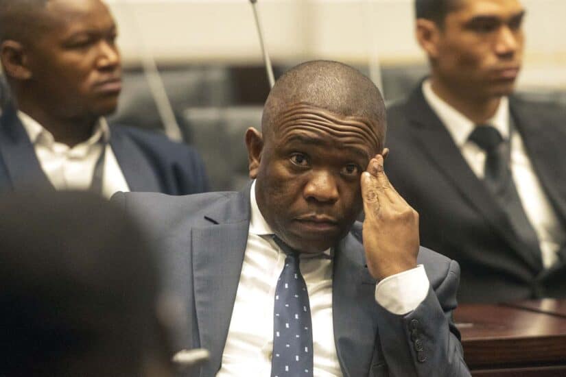Mkhwanazi before the ad hoc parliamentary committee for the second day.