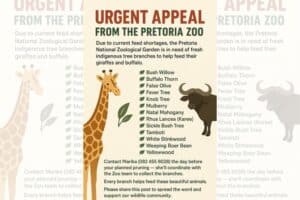 Old Pretoria Zoo post sparks viral misunderstanding