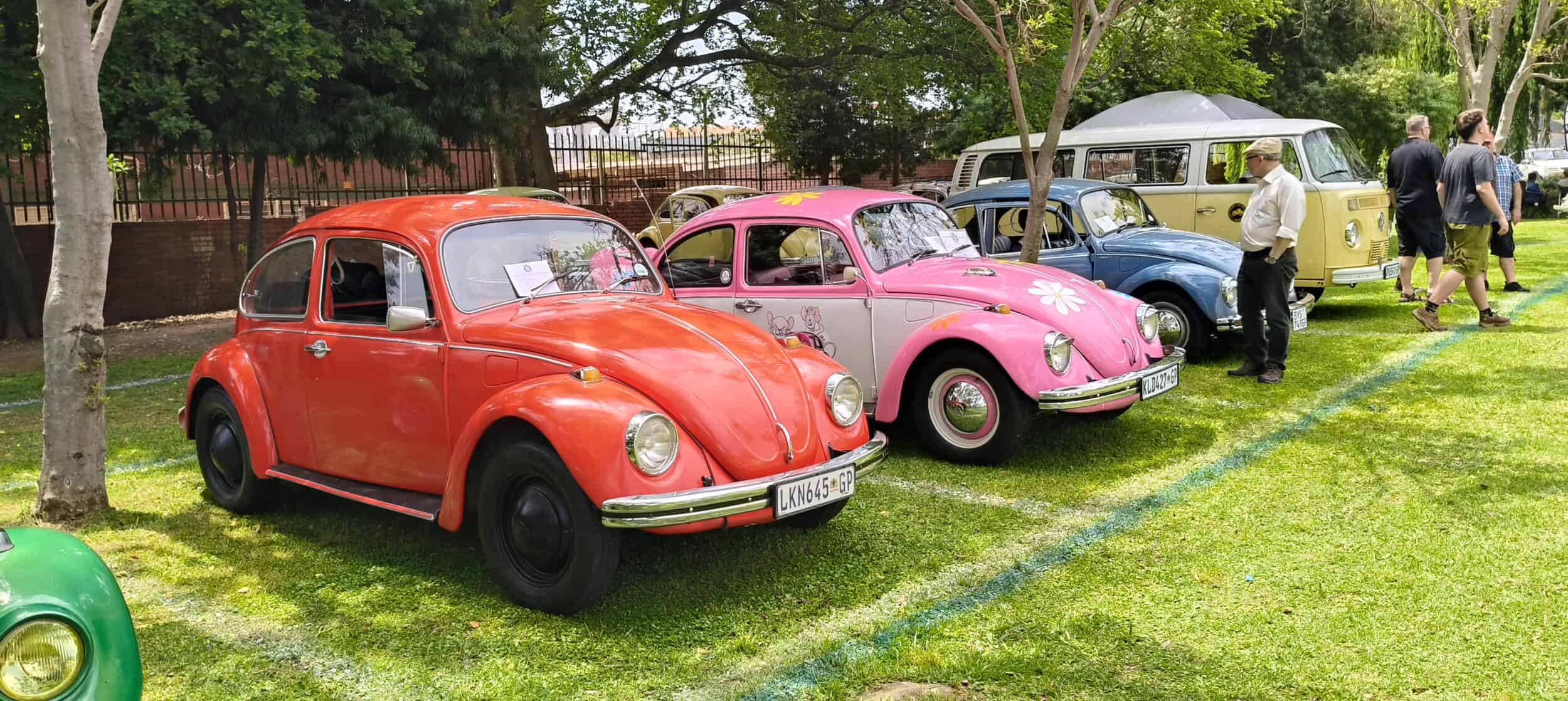 Air-Cooled cars line up at a show