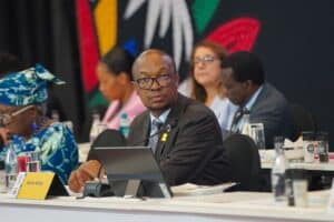 Parks Tau to monitor Temu’s operations in SA, while Gayton McKenzie teams up with Shein