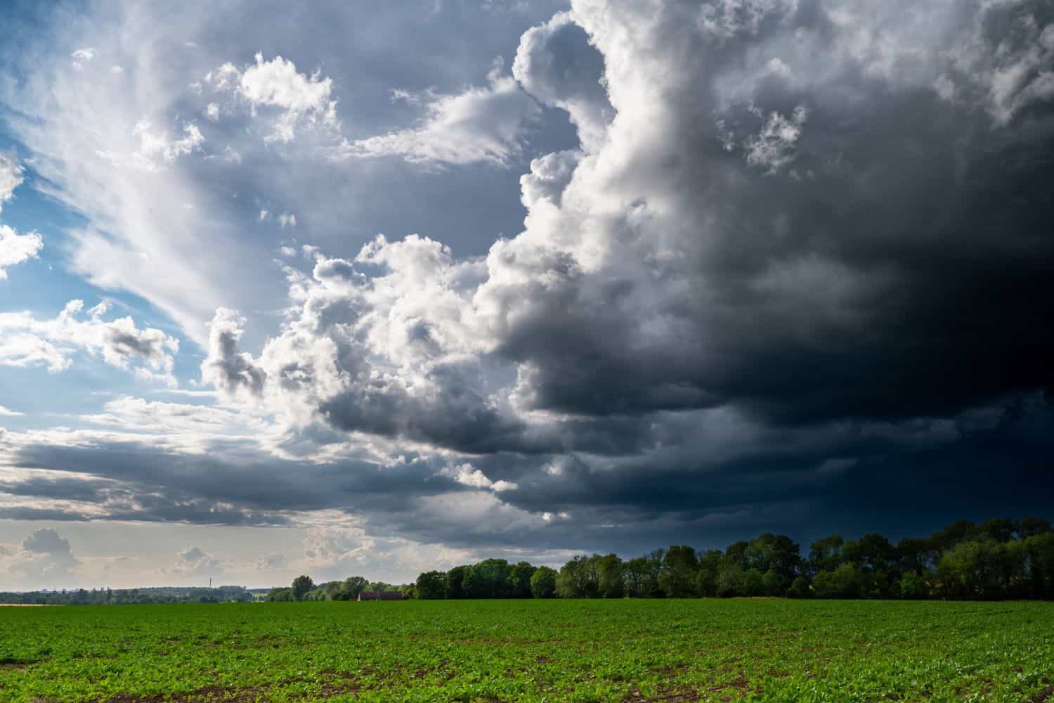 Thundershowers South African Weather Service