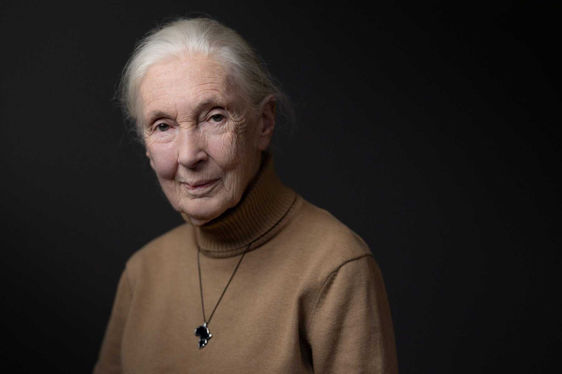 Renowned British chimpanzee expert Jane Goodall dies at 91