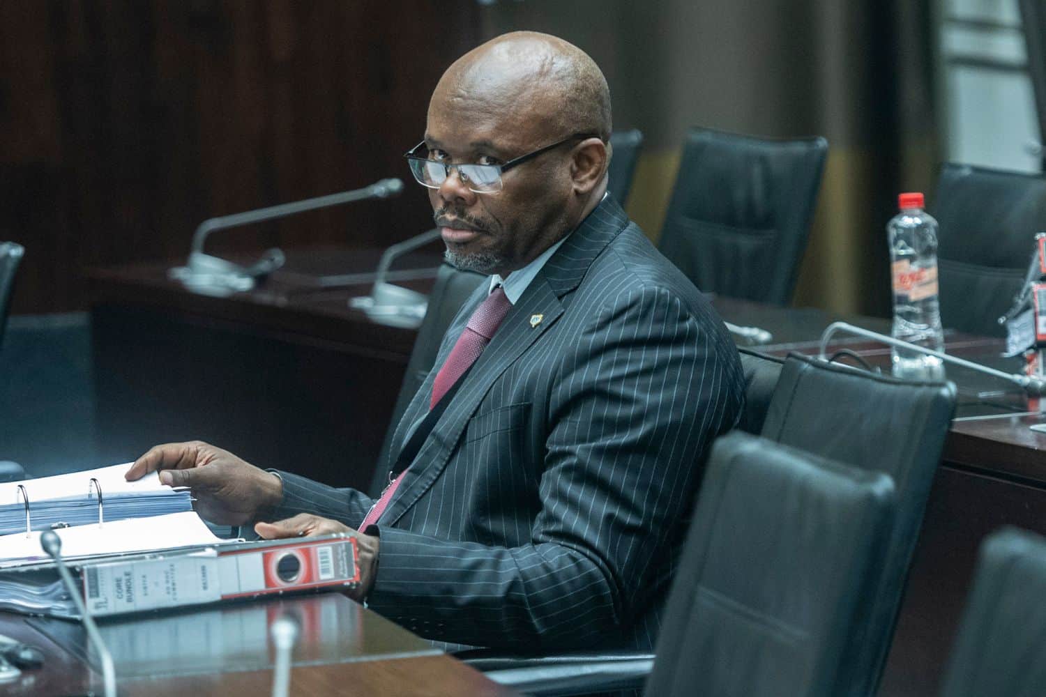 Sibiya Cat Matlala Brown Mogotsi Parliament ad hoc committee