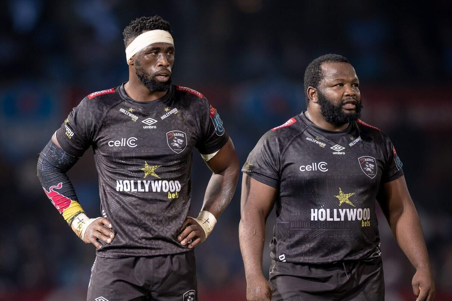 Sharks Siya Kolisi and Ox Nche