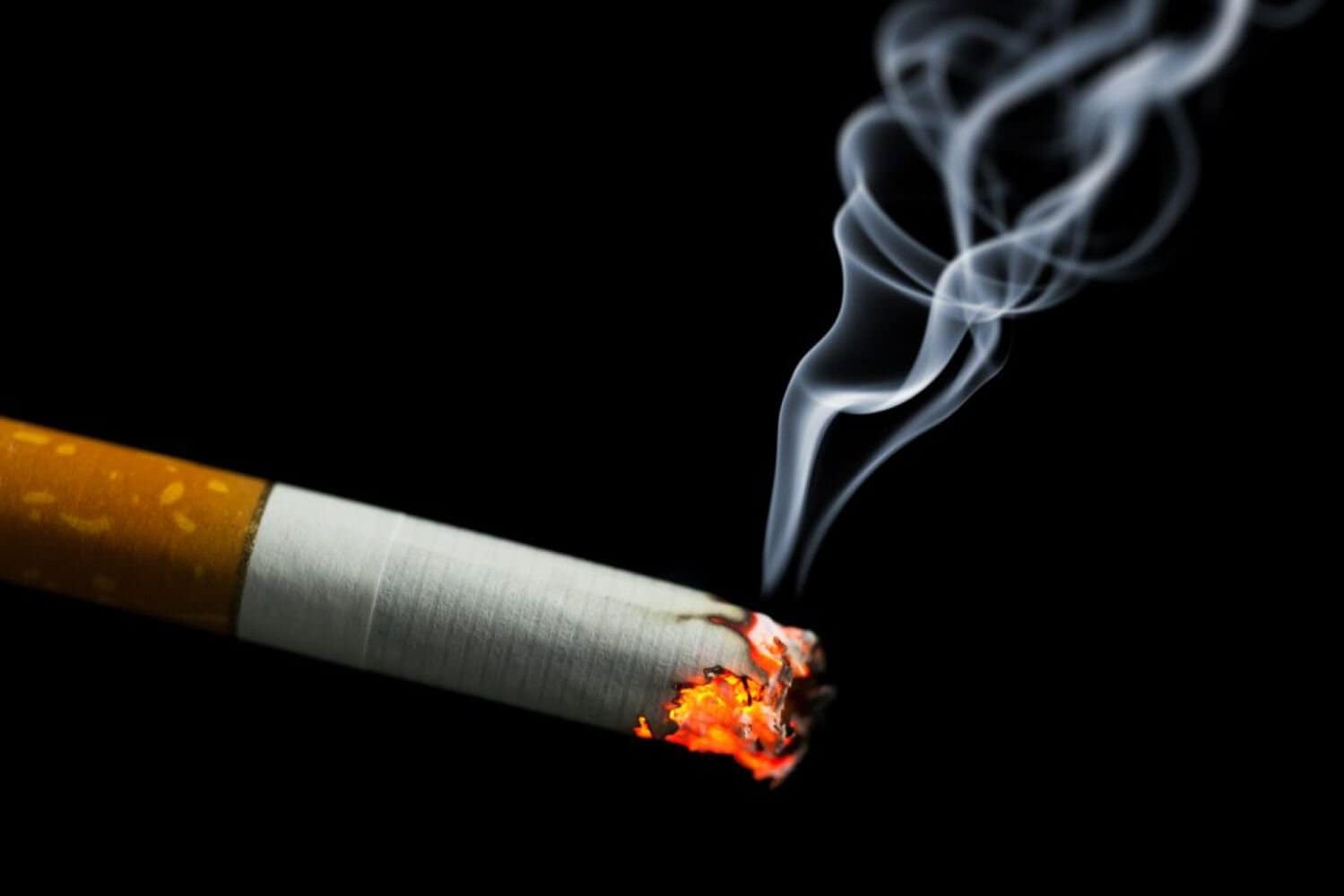 Public Submissions on the tobacco bill were summarised in parliament.