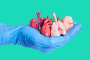 SA patients are dying for transplants